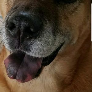 Meet your Posher, Robin